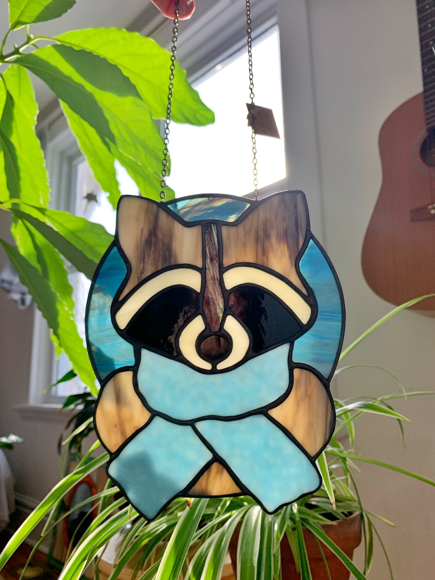 Woodland Raccoon in Sky Blue Scarf