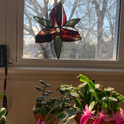 Trillium Wildflower • Streaked Crimson/White