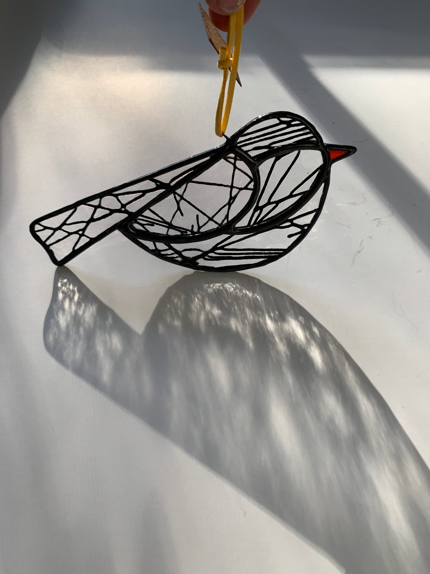 Colorful Bird Friend • Lines