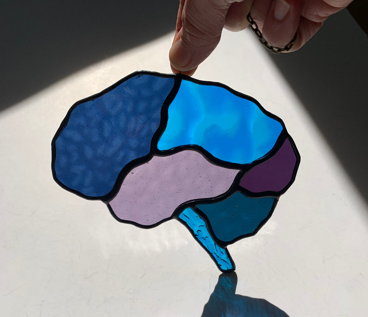 Human Brain (better than AI) •