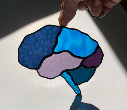 Human Brain (better than AI) •