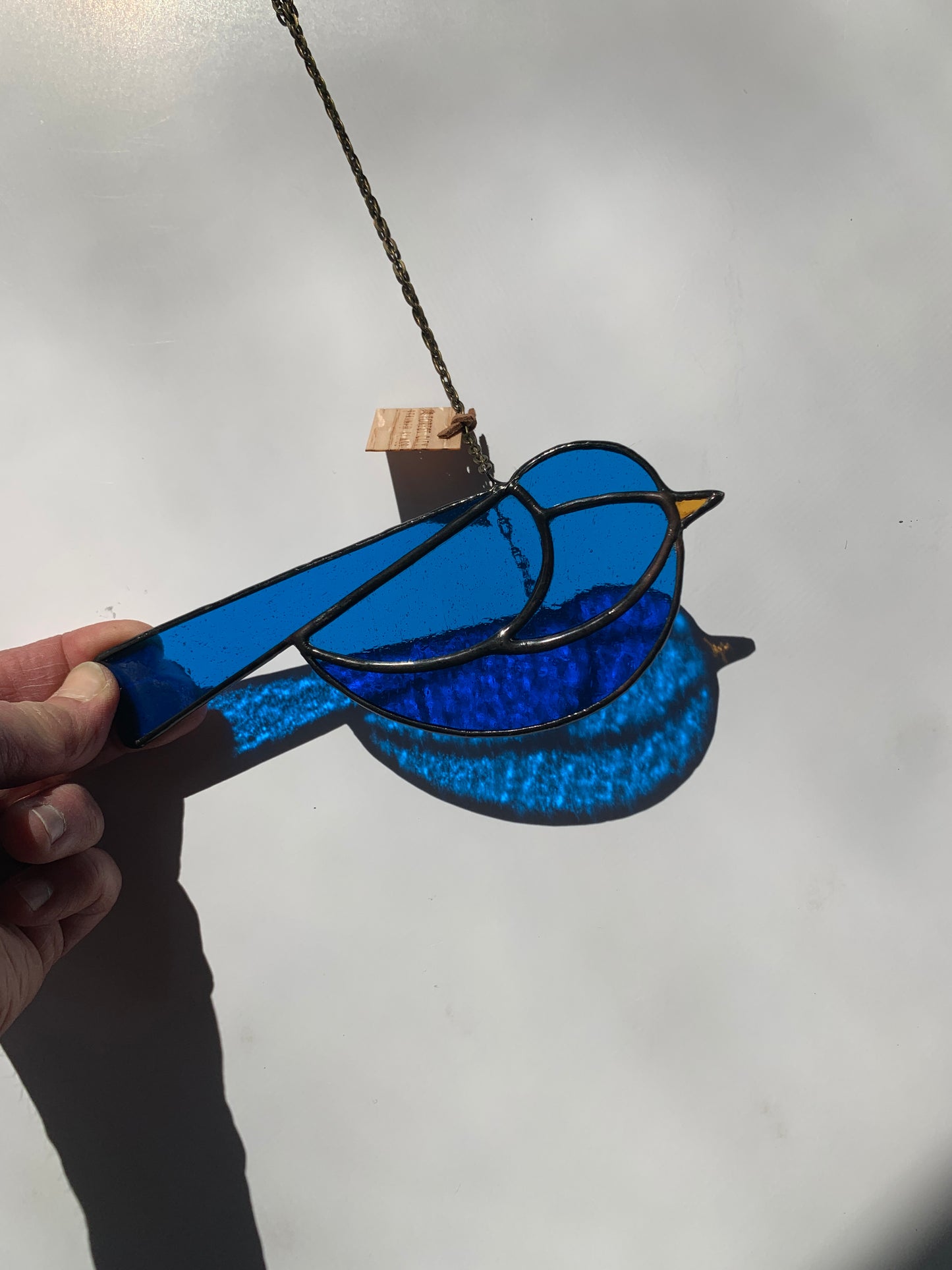 Colorful Bird Friend • Blue