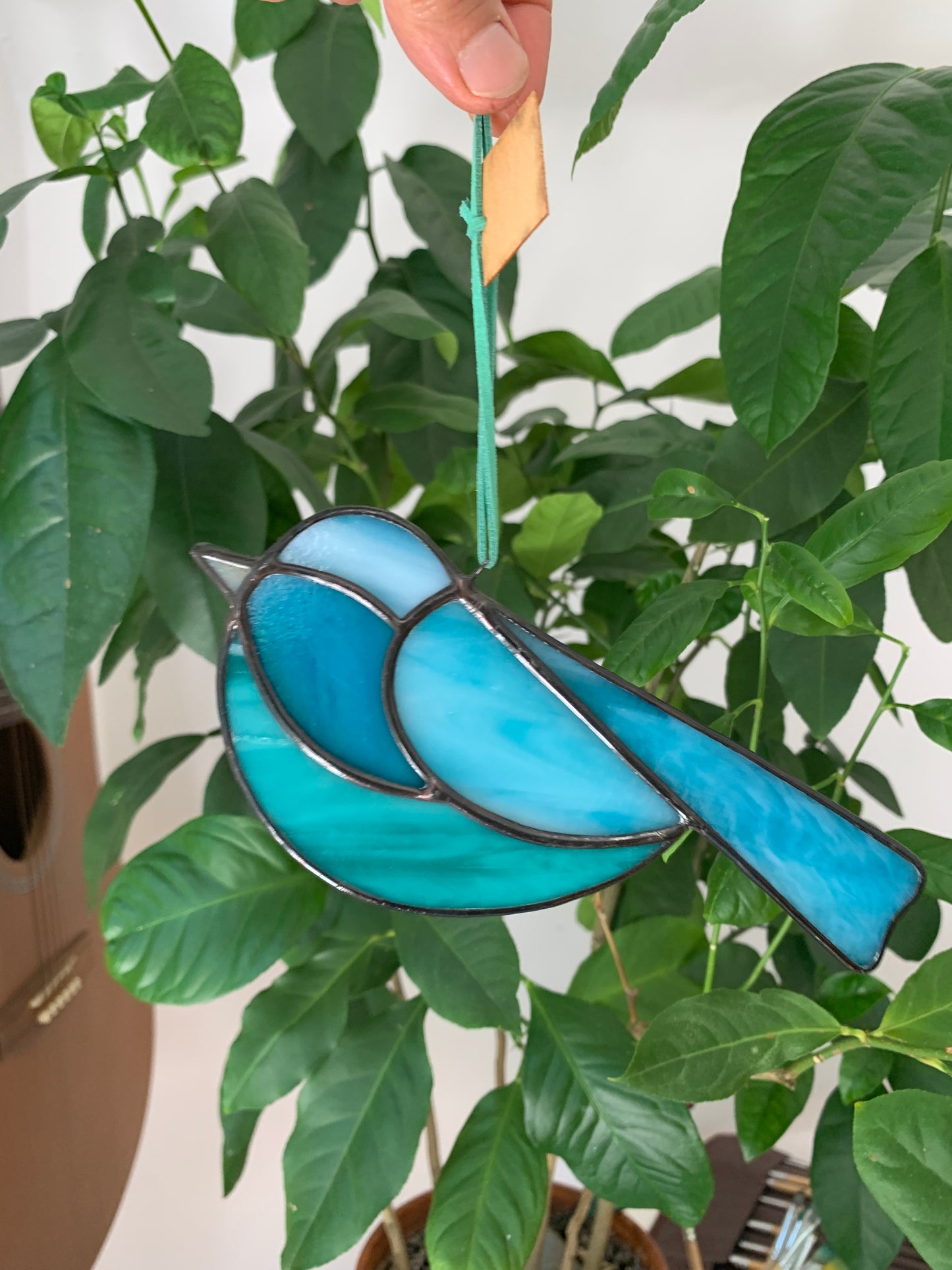 Colorful Bird Friend • Iridescent Blues