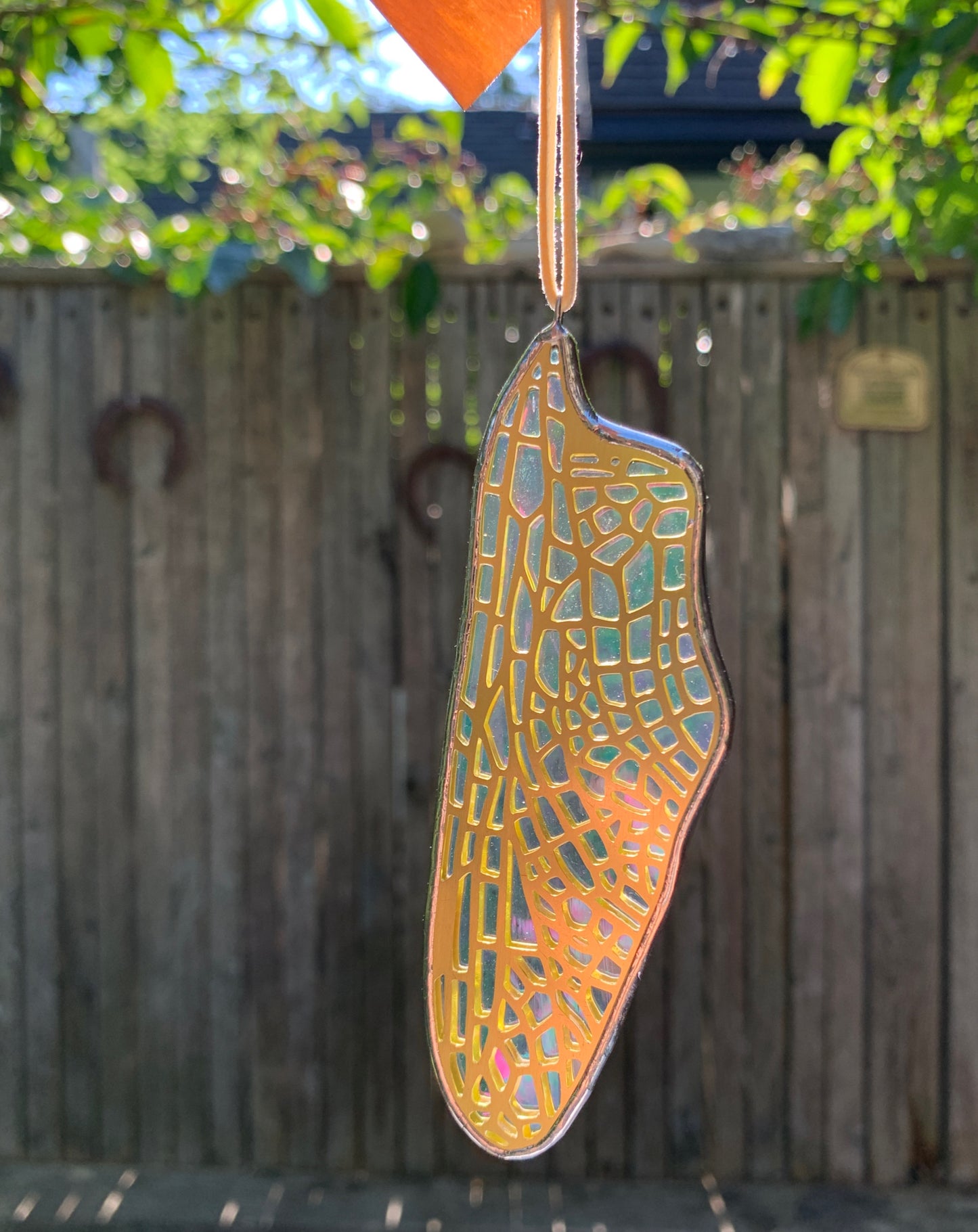 Dragonfly Hindwing • Iridescent Etched Clear