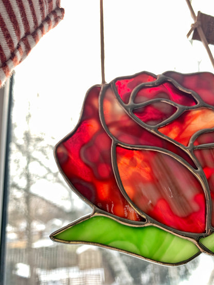 Rose in Mottled Crimson