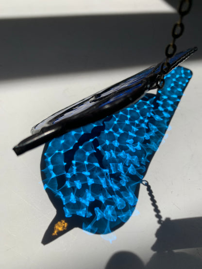 Colorful Bird Friend • Blue