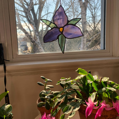 Trillium Wildflower • Wispy Lavender/Amber