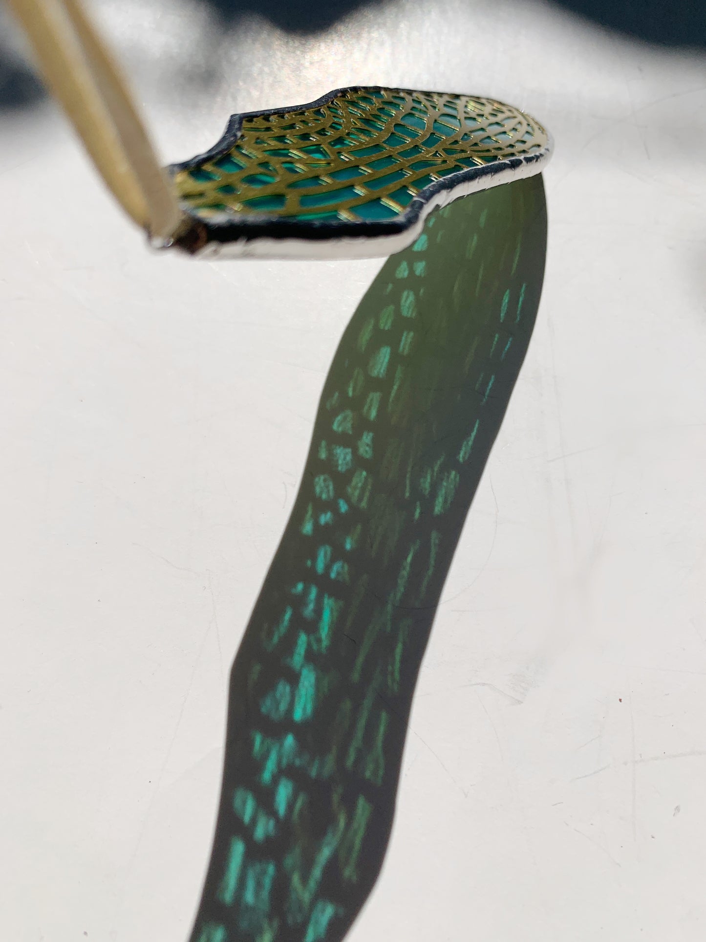 Dragonfly Forewing • Iridescent Wispy Teal