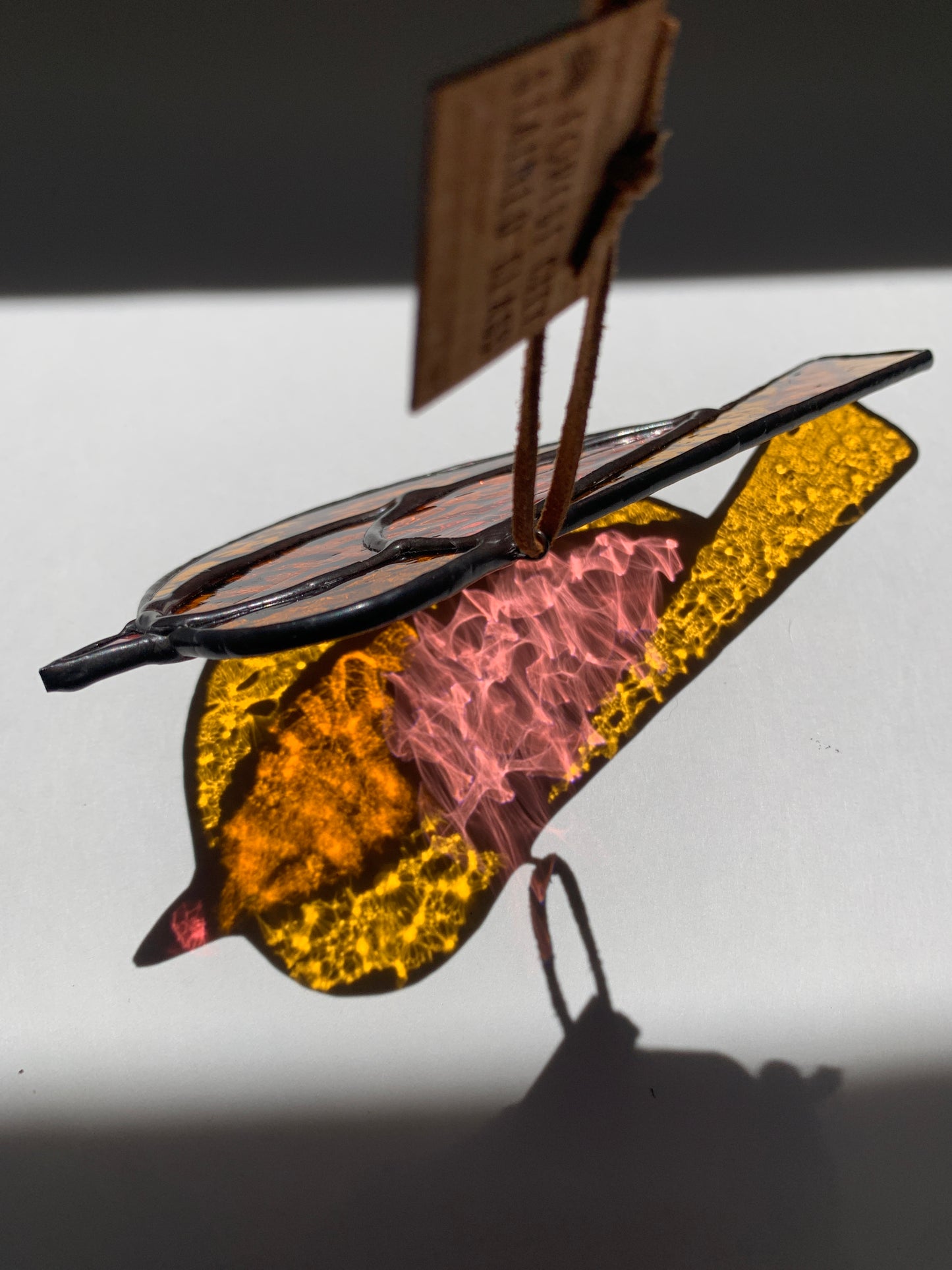 Colorful Bird Friend XXIV