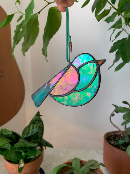 Colorful Bird Friend XX • Iridescent