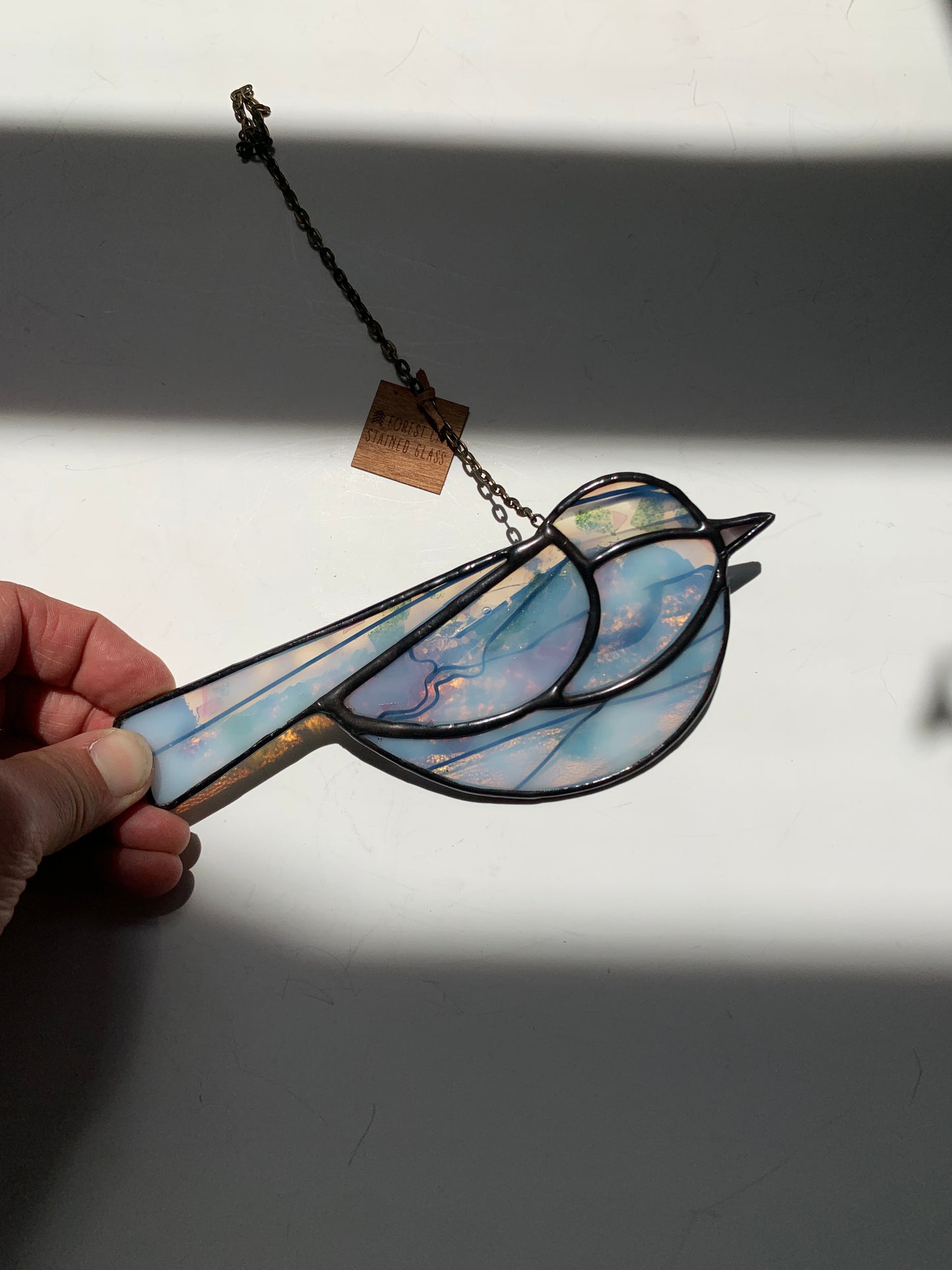 Colorful Bird Friend • Confetti I