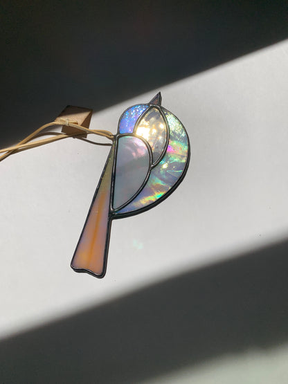 Colorful Bird Friend XVII • Iridescent