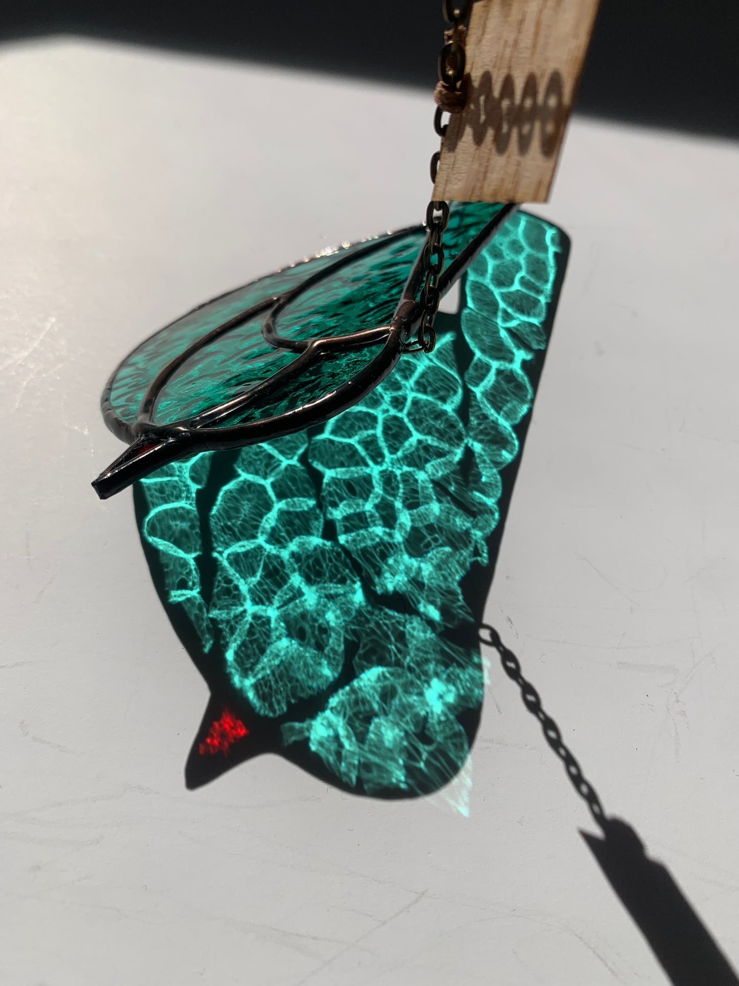 Colorful Bird Friend • Teal