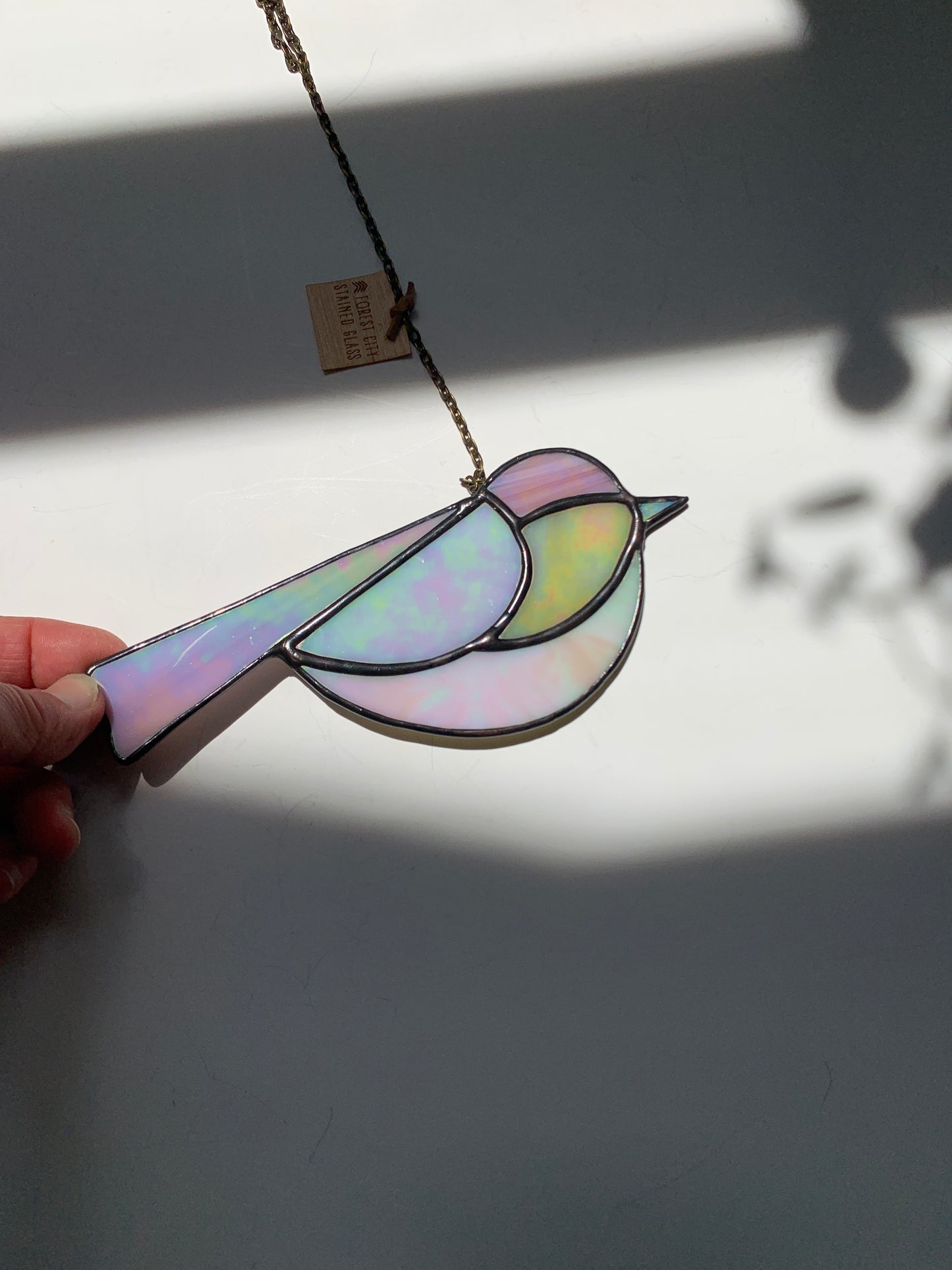 Colorful Bird Friend • Iridescent Neutrals II