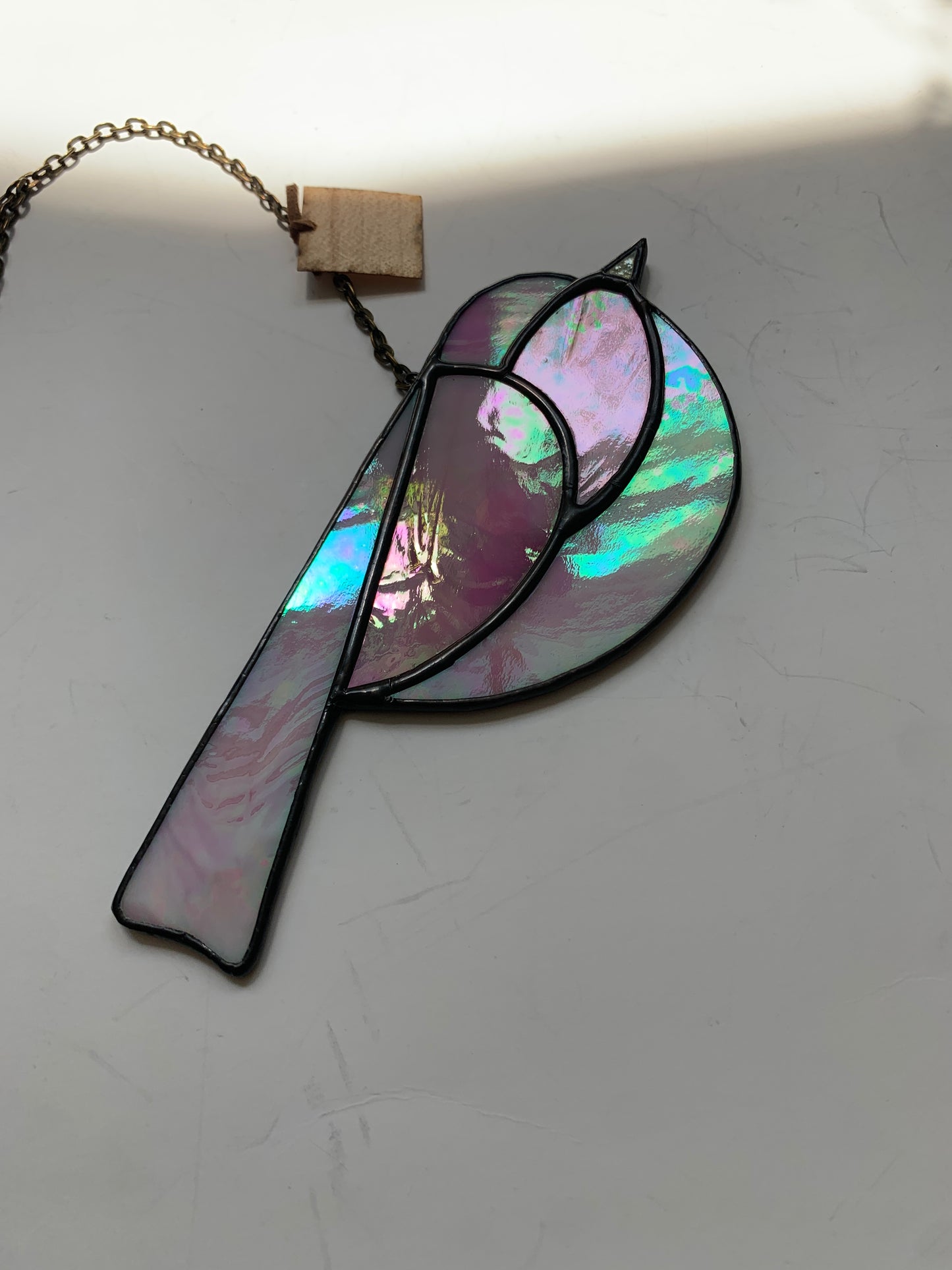 Colorful Bird Friend • Iridescent  Pink