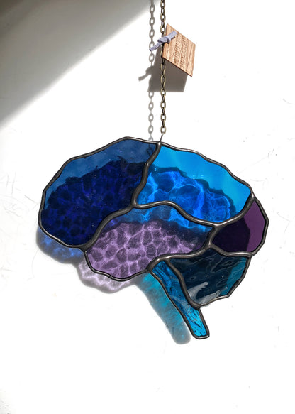 Human Brain (better than AI) •
