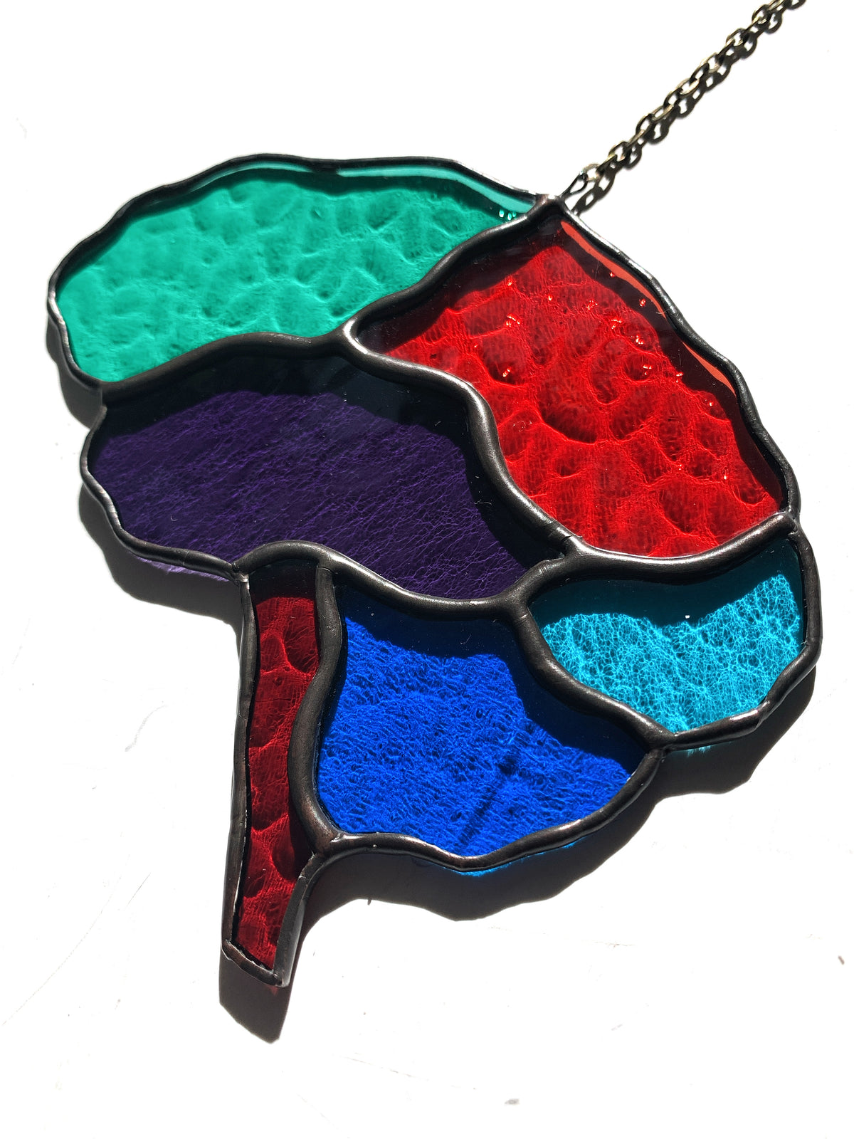 Human Brain (better than AI) ••