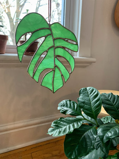 Monstera Leaf  • Wispy Mint Green