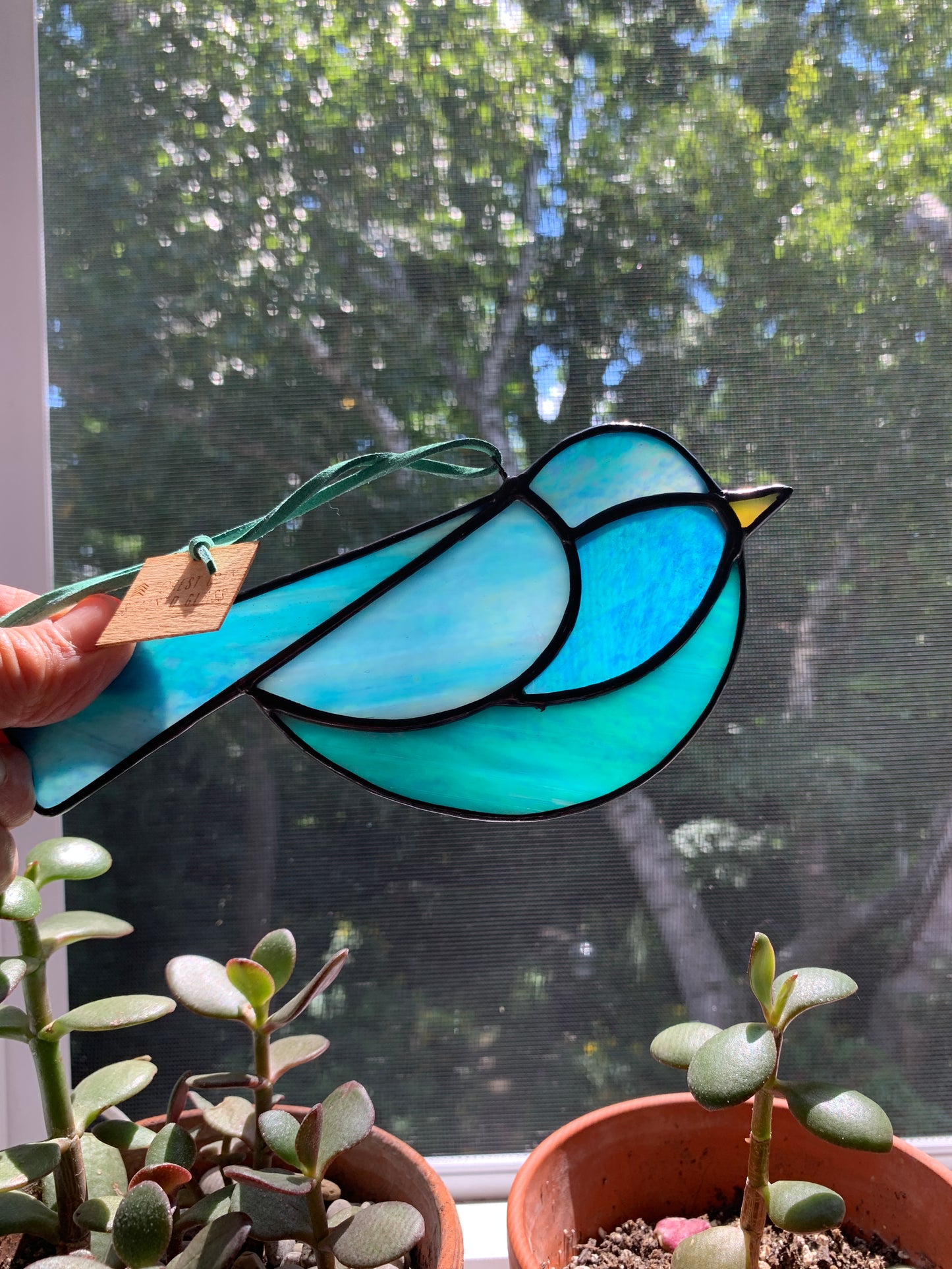 Colorful Bird Friend • Iridescent Blues