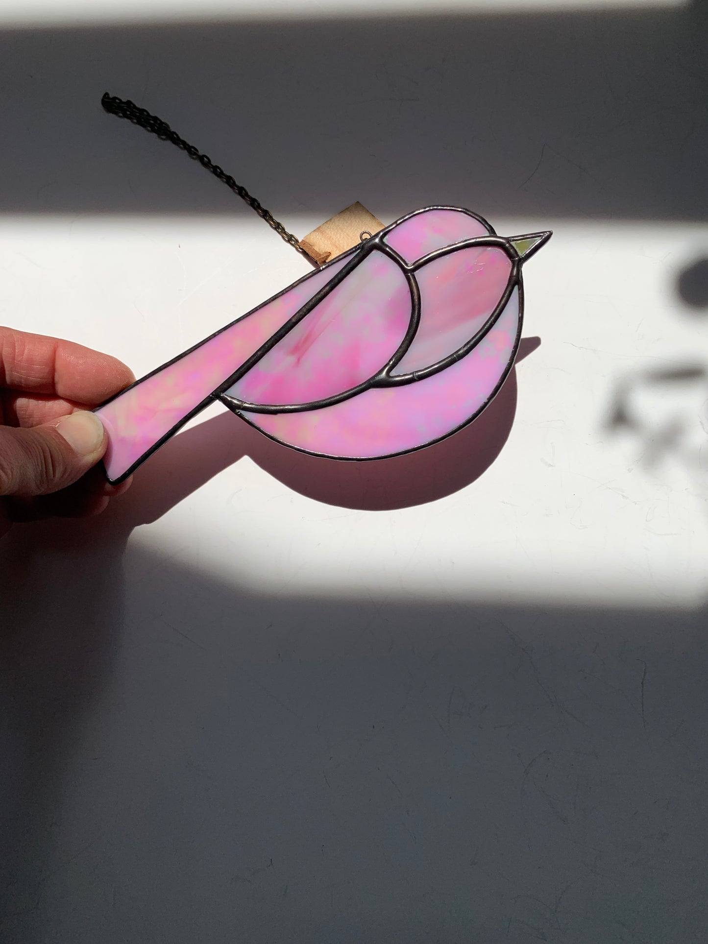 Colorful Bird Friend • Iridescent  Pink