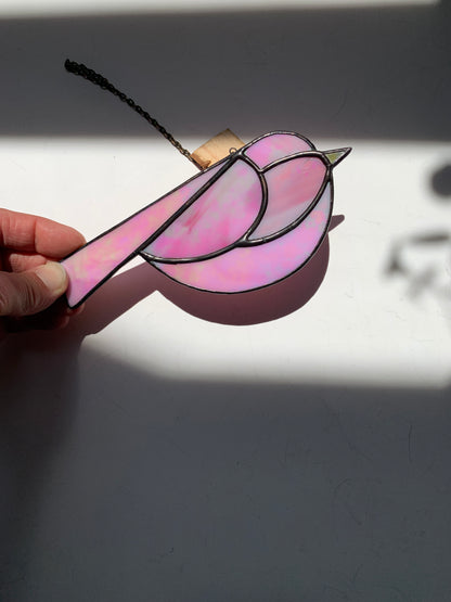 Colorful Bird Friend • Iridescent  Pink