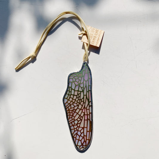 Dragonfly Hindwing • Iridescent Pink