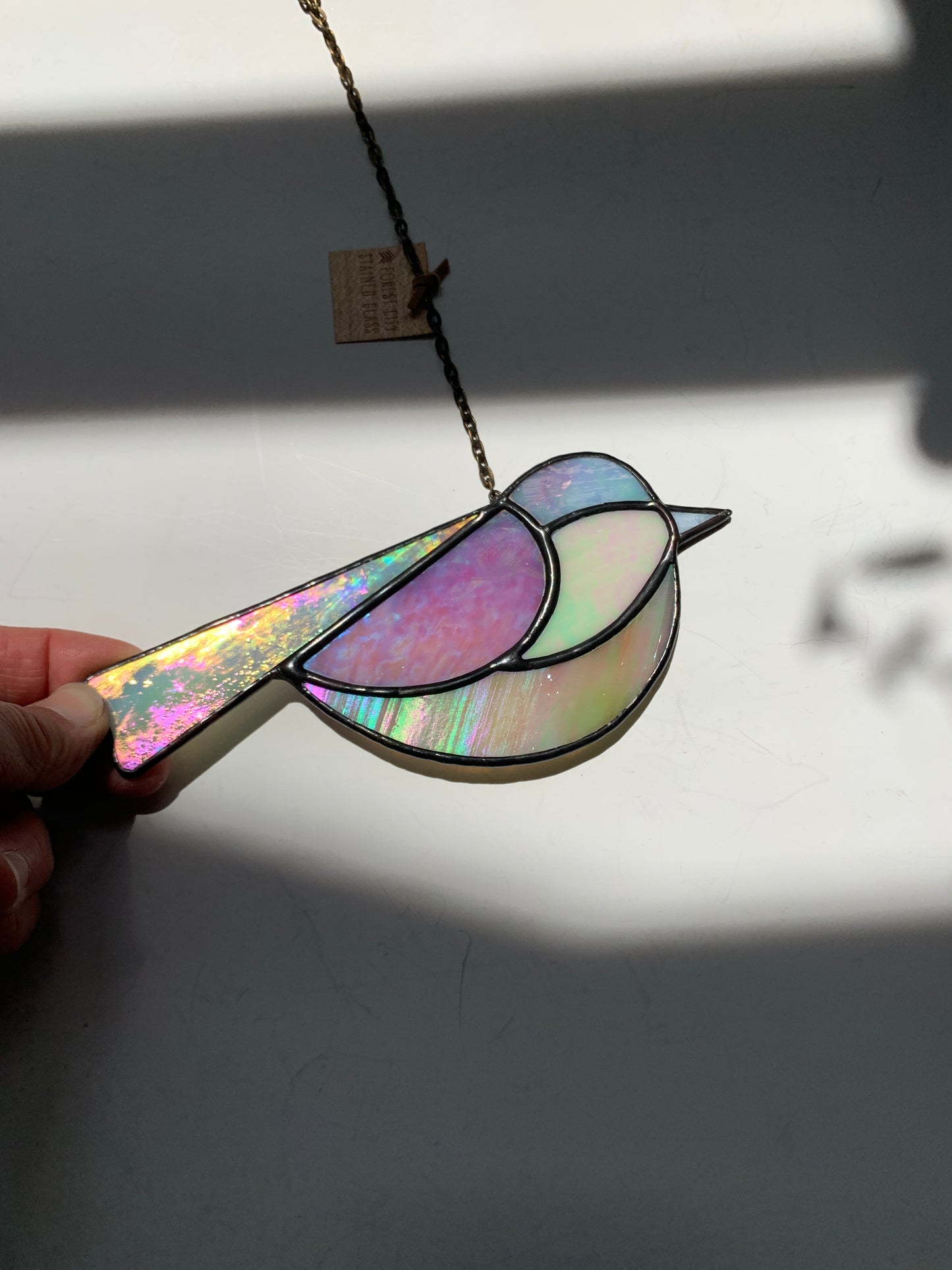 Colorful Bird Friend • Iridescent Neutrals III