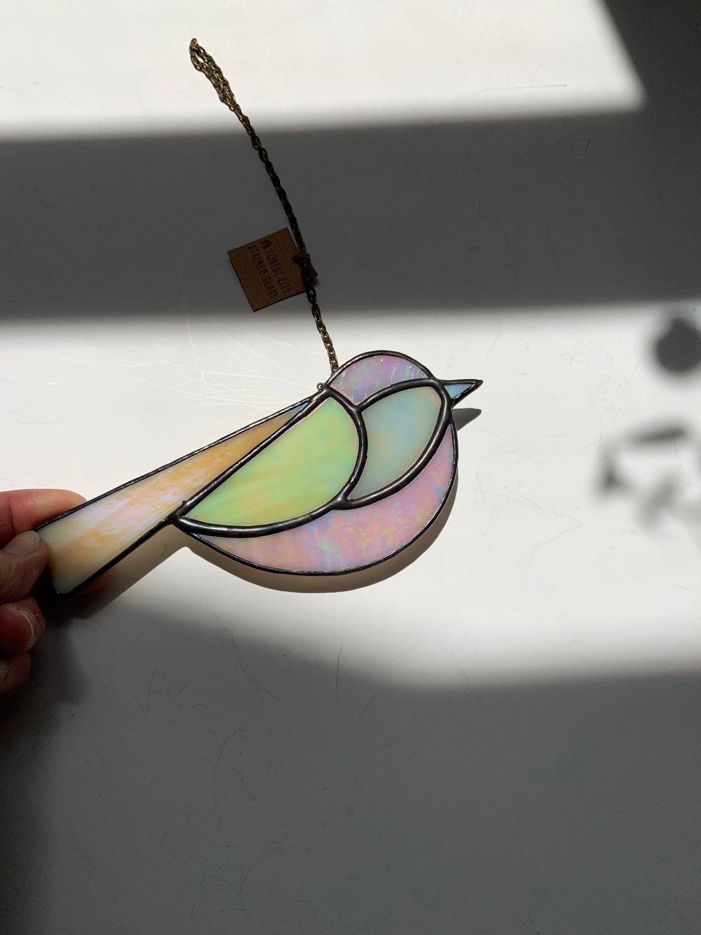 Colorful Bird Friend • Iridescent Neutrals IV