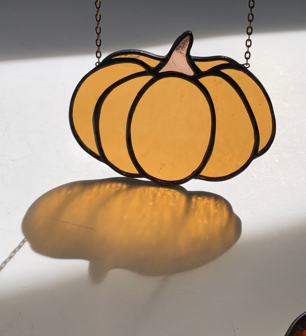 Pumpkin • Camel