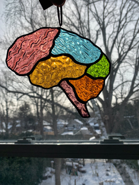 Brain • Multicolor