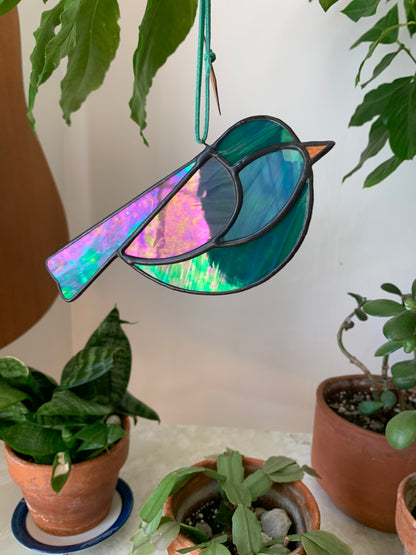 Colorful Bird Friend XX • Iridescent