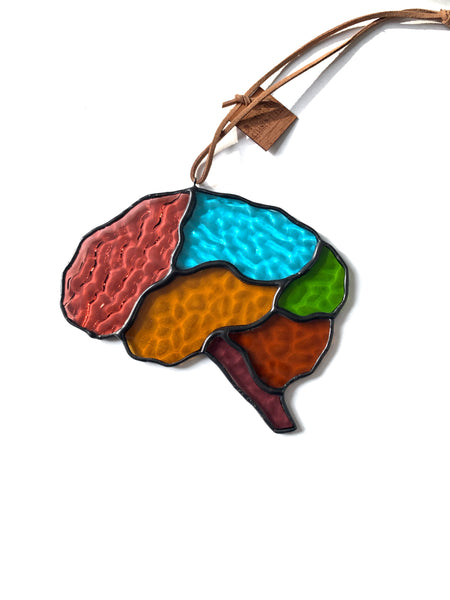 Brain • Multicolor