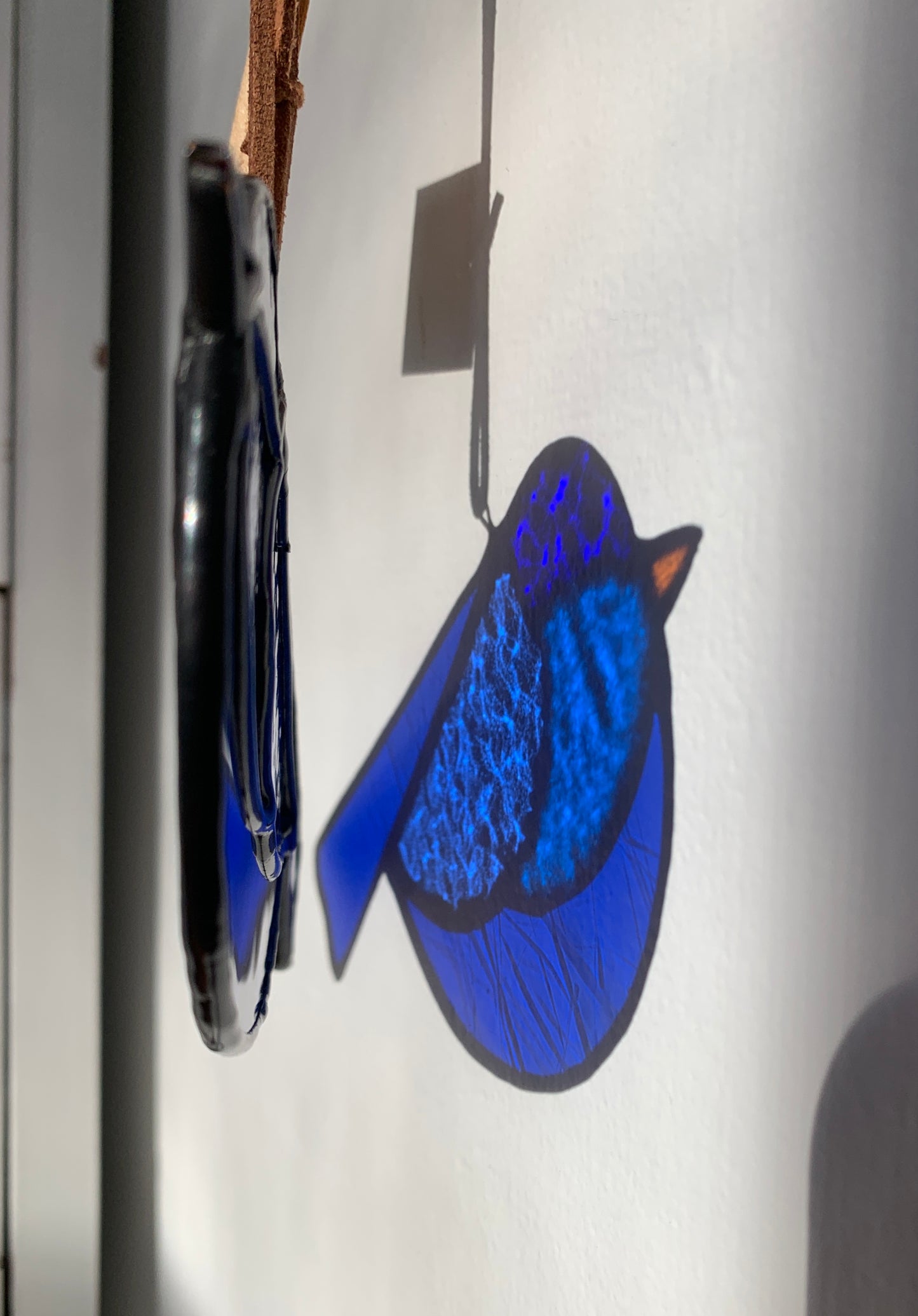 Colorful Bird Friend • Dark Blues