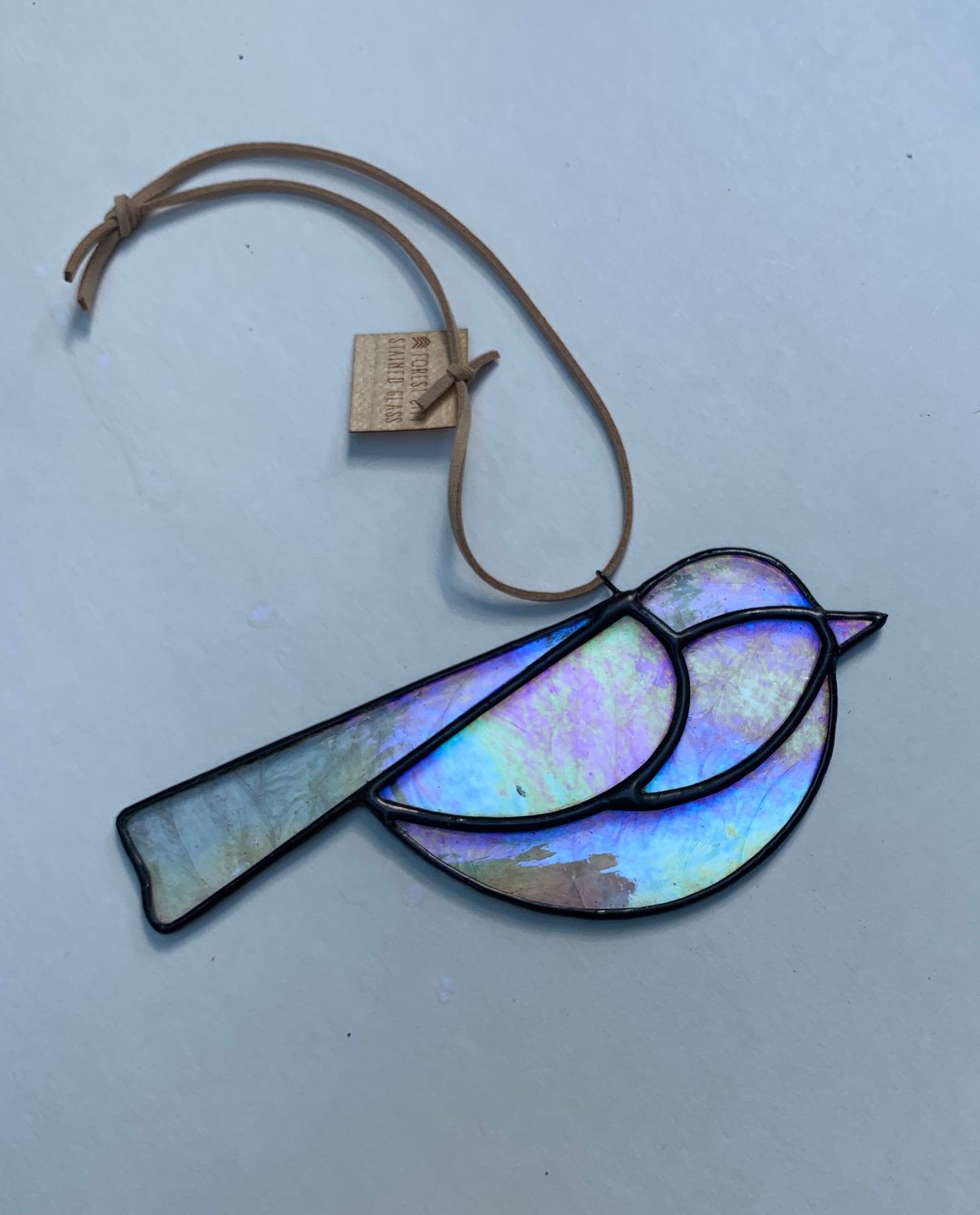 Colorful Bird Friend • Iridescent Etched Clear