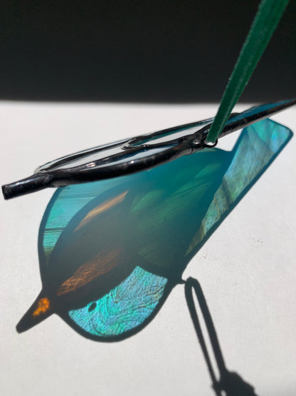 Colorful Bird Friend XVIII • Iridescent