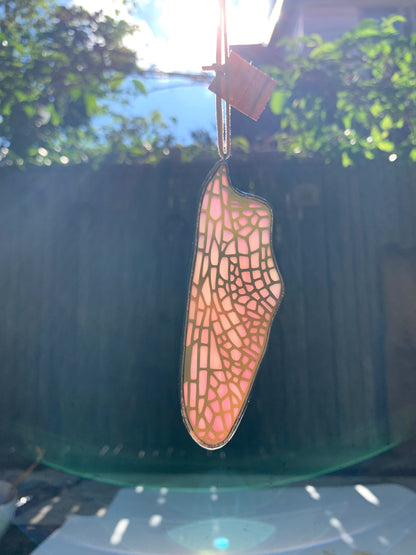 Dragonfly Hindwing • Iridescent Pink