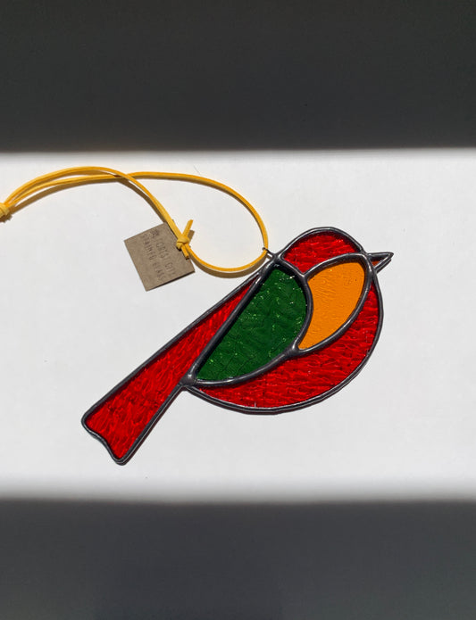 Colorful Bird Friend XII