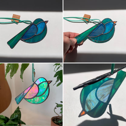 Colorful Bird Friend XX • Iridescent
