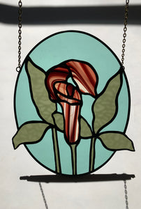 Wildflower • Jack in the Pulpit