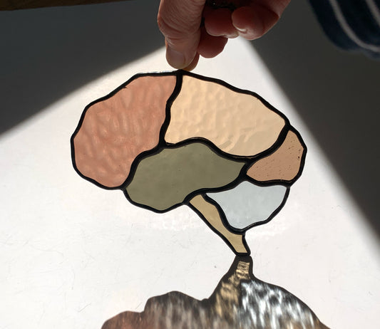 Human Brain (better than AI) •••