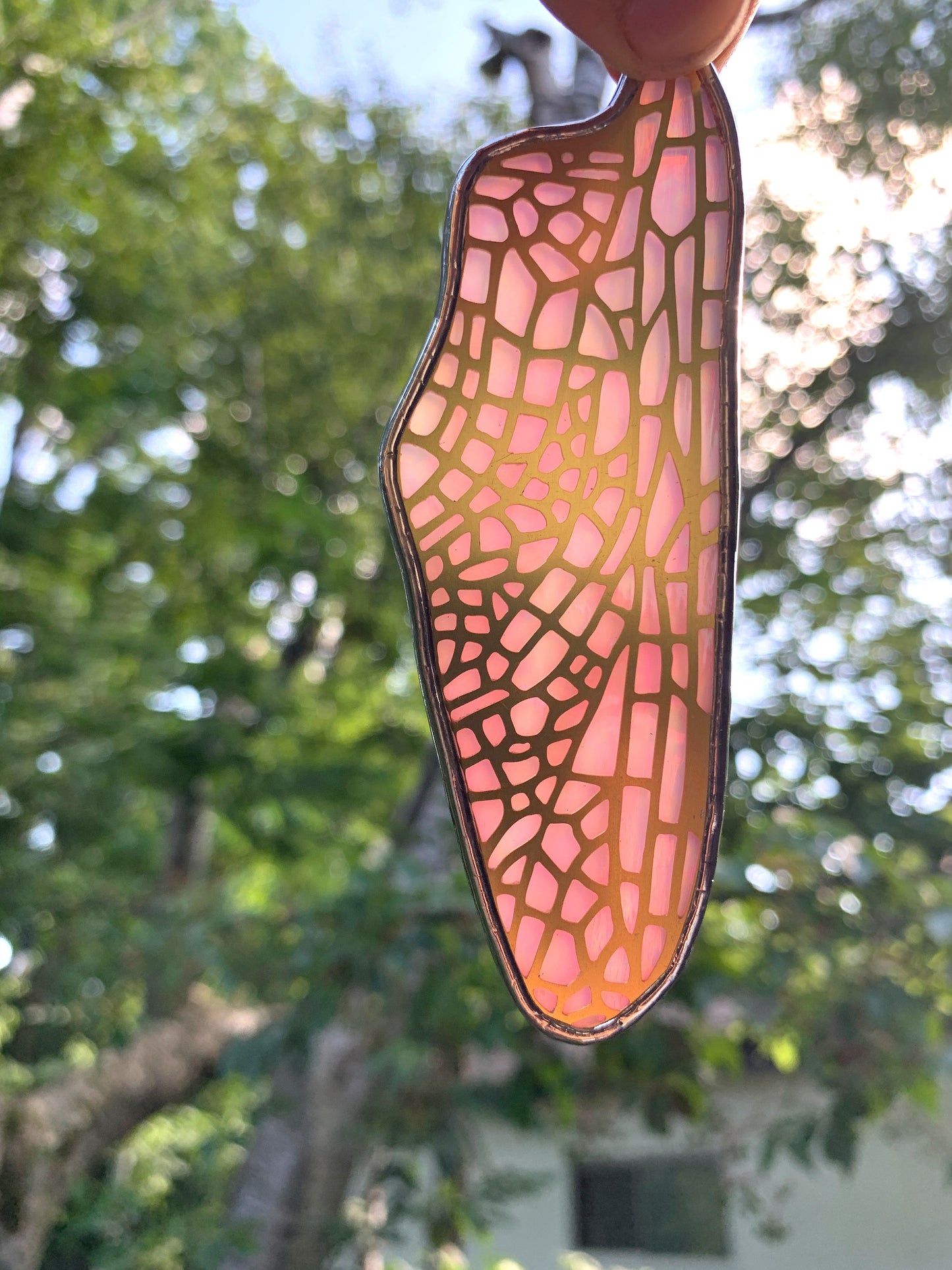 Dragonfly Hindwing • Iridescent Pink