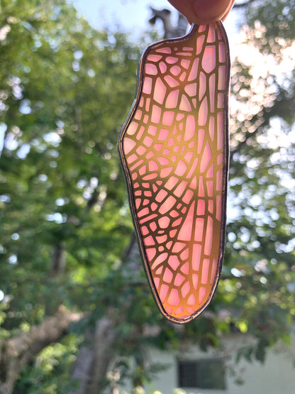 Dragonfly Hindwing • Iridescent Pink