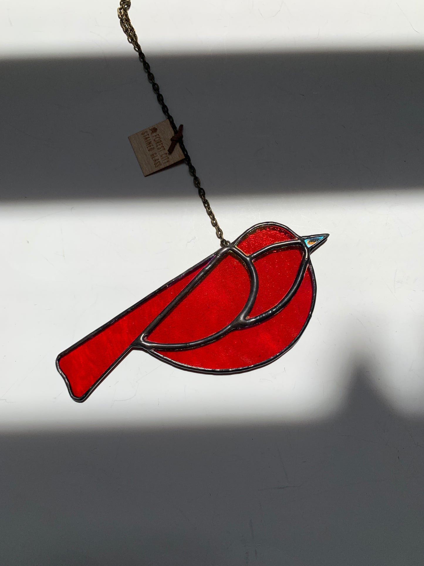 Colorful Bird Friend • Iridescent Red