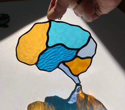 Human Brain (better than AI) ••••