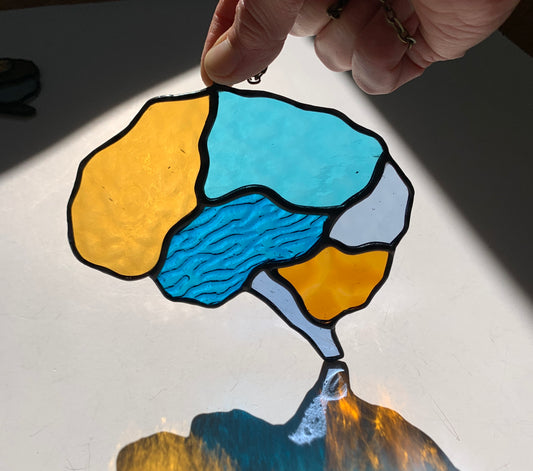 Human Brain (better than AI) ••••