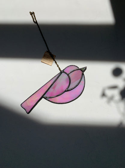 Colorful Bird Friend • Iridescent  Pink