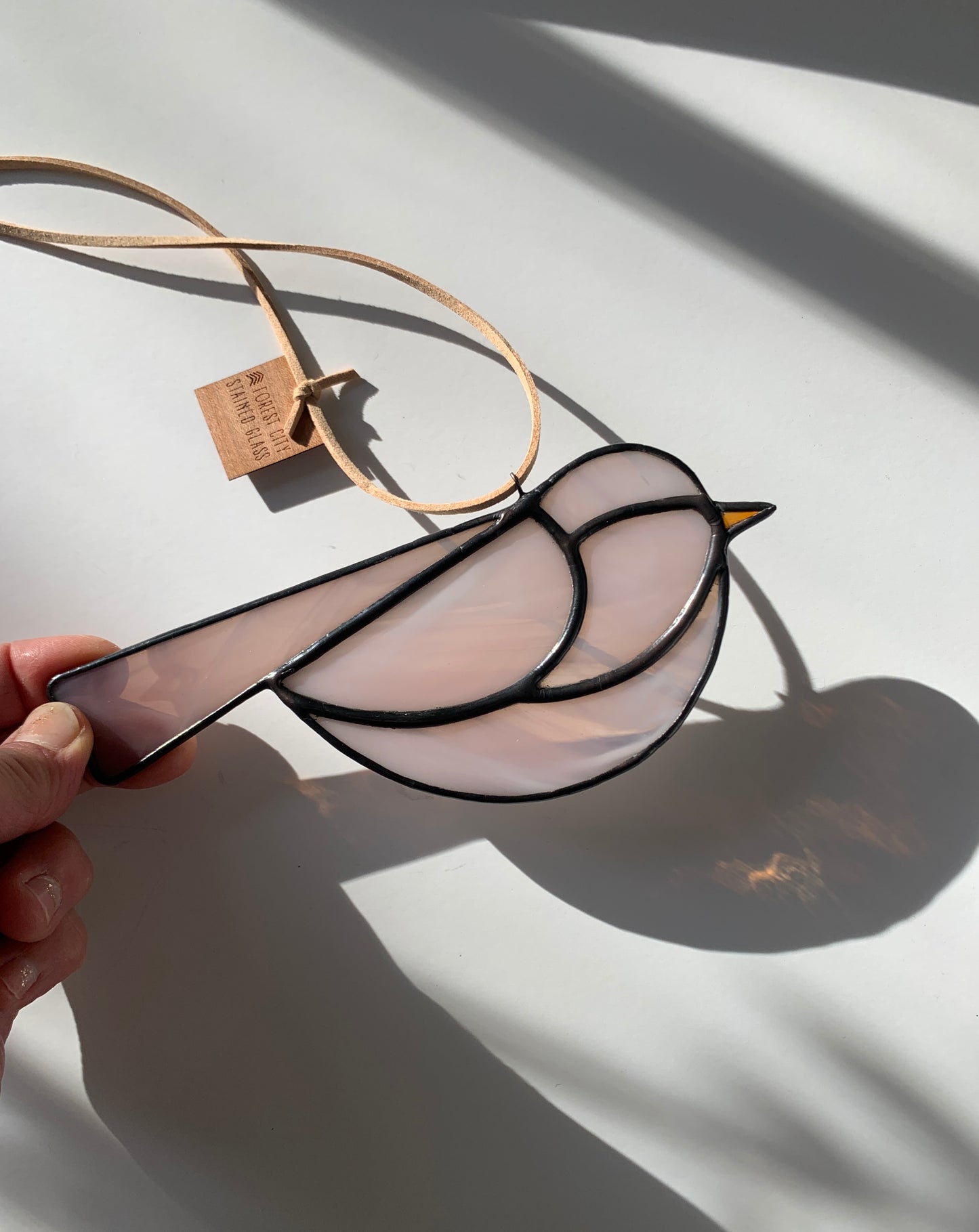 Colorful Bird Friend • Wispy Soft Pink