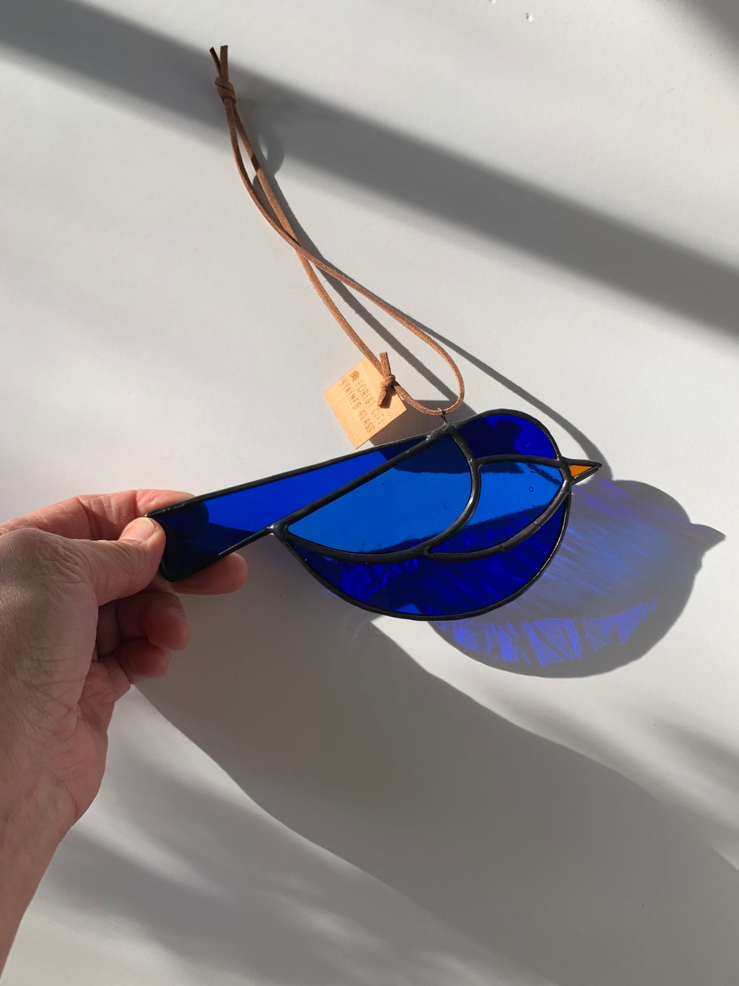 Colorful Bird Friend • Dark Blues