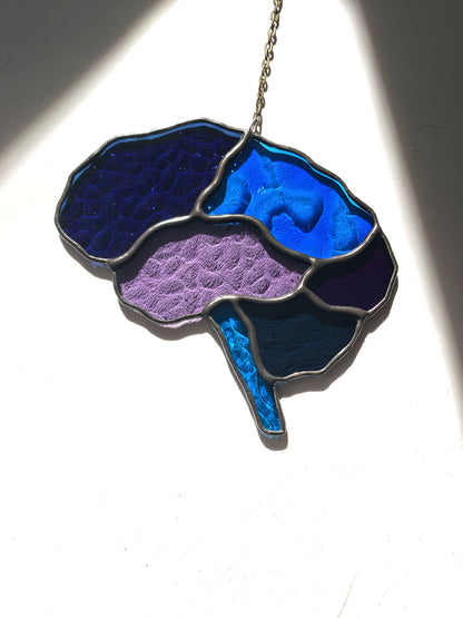 Human Brain (better than AI) •