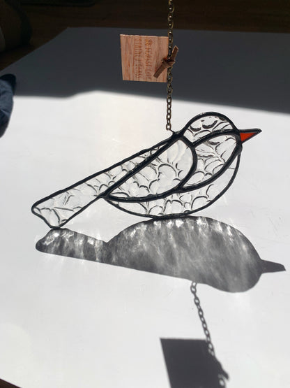 Colorful Bird Friend • Textured Clear
